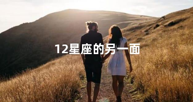 12星座的另一面