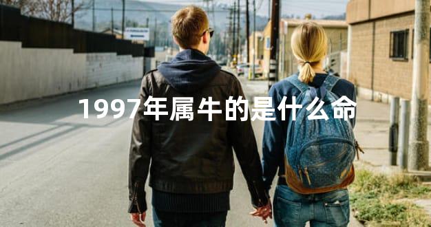 1997年属牛的是什么命