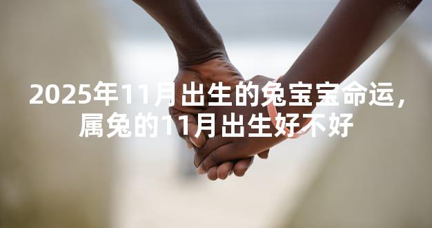 2025年11月出生的兔宝宝命运，属兔的11月出生好不好