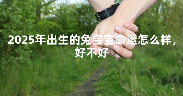 2025年出生的兔宝宝命运怎么样，好不好