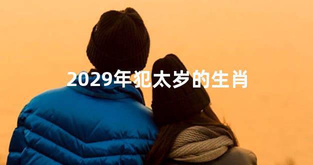 2029年犯太岁的生肖