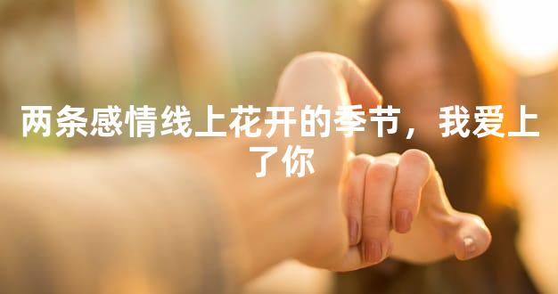 两条感情线上花开的季节，我爱上了你