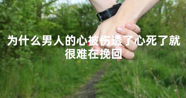 为什么男人的心被伤透了心死了就很难在挽回