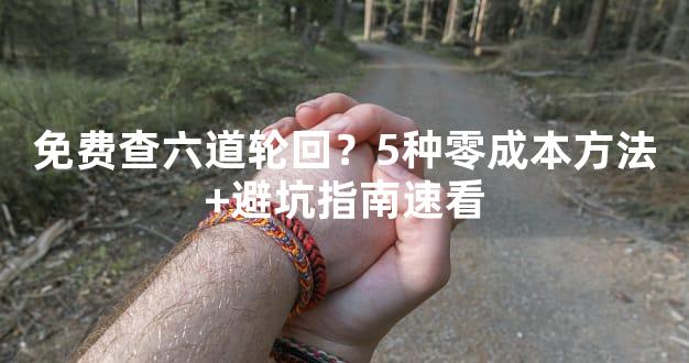 免费查六道轮回？5种零成本方法+避坑指南速看