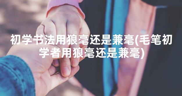 初学书法用狼毫还是兼毫(毛笔初学者用狼毫还是兼毫)