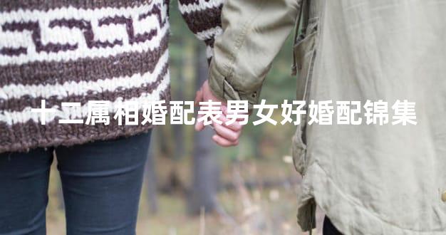十二属相婚配表男女好婚配锦集