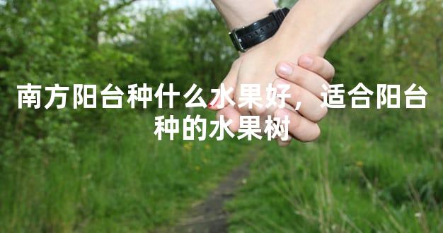 南方阳台种什么水果好，适合阳台种的水果树