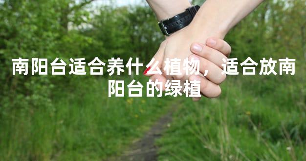 南阳台适合养什么植物，适合放南阳台的绿植