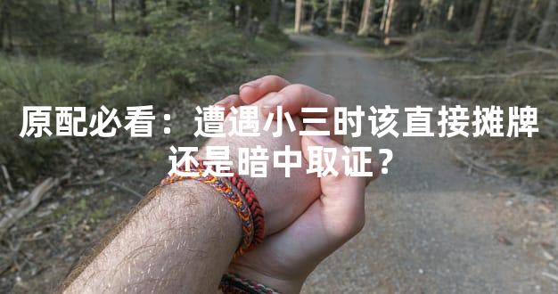 原配必看：遭遇小三时该直接摊牌还是暗中取证？
