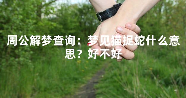 周公解梦查询：梦见猫捉蛇什么意思？好不好