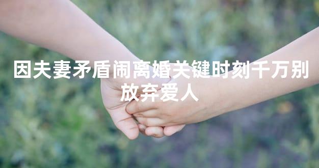 因夫妻矛盾闹离婚关键时刻千万别放弃爱人