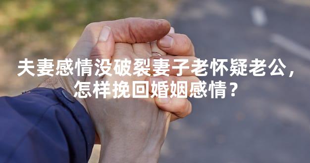 夫妻感情没破裂妻子老怀疑老公，怎样挽回婚姻感情