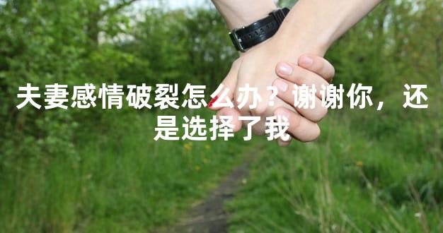 夫妻感情破裂怎么办？谢谢你，还是选择了我