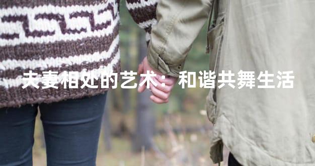夫妻相处的艺术：和谐共舞生活