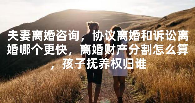 夫妻离婚咨询，协议离婚和诉讼离婚哪个更快，离婚