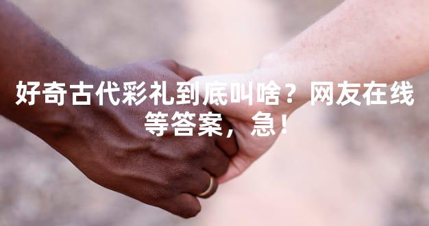 好奇古代彩礼到底叫啥？网友在线等答案，急！