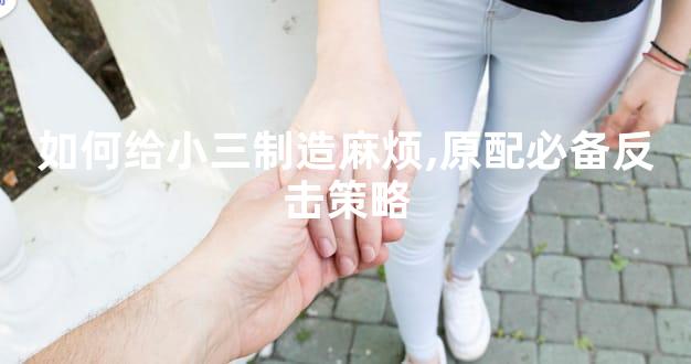 如何给小三制造麻烦,原配必备反击策略