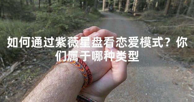 如何通过紫薇星盘看恋爱模式？你们属于哪种类型