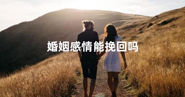 婚姻感情能挽回吗