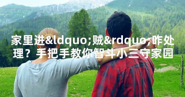 家里进“贼”咋处理？手把手教你智斗小三守家园