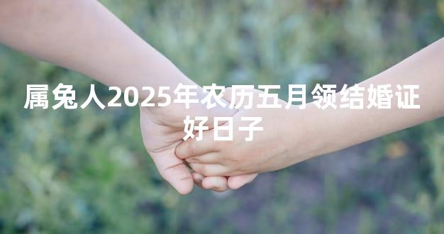 属兔人2025年农历五月领结婚证好日子