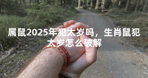 属鼠2025年犯太岁吗，生肖鼠犯太岁怎么破解