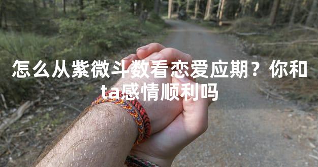 怎么从紫微斗数看恋爱应期？你和ta感情顺利吗