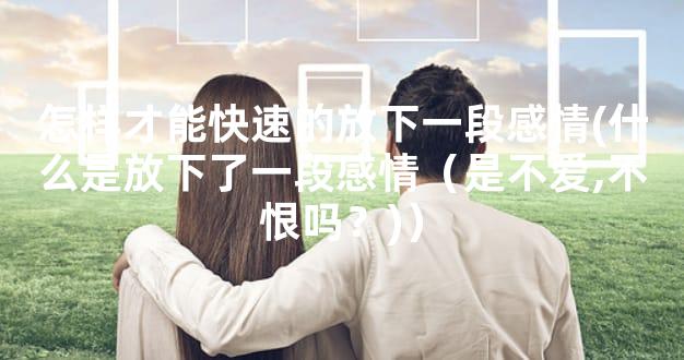 怎样才能快速的放下一段感情(什么是放下了一段感情（是不爱,不恨吗？)）