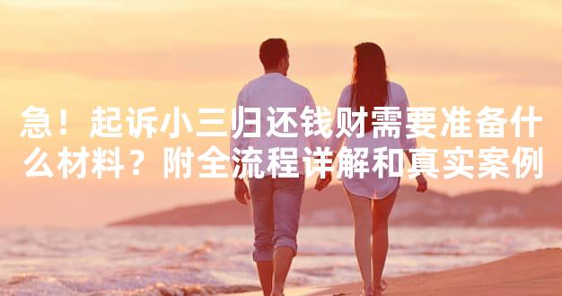 急！起诉小三归还钱财需要准备什么材料？附全流程详解和真实案例