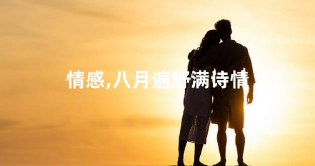 情感,八月遍野满诗情