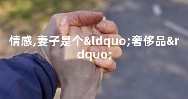 情感,妻子是个“奢侈品”