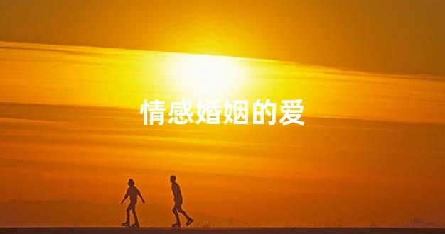 情感婚姻的爱