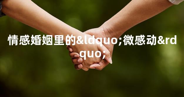情感婚姻里的“微感动”