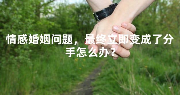 情感婚姻问题，最终立即变成了分手怎么办？