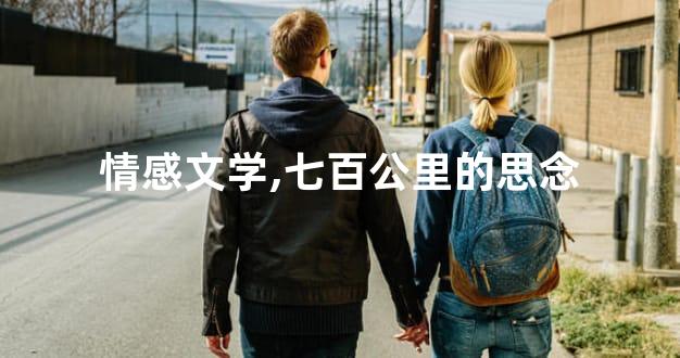 情感文学,七百公里的思念