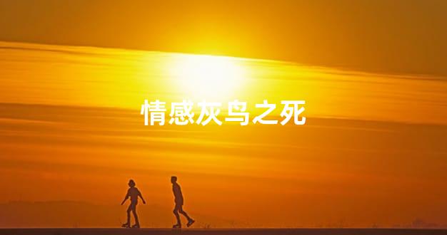 情感灰鸟之死