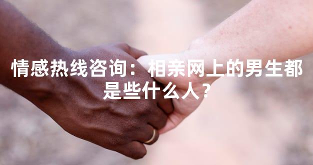情感热线咨询：相亲网上的男生都是些什么人？