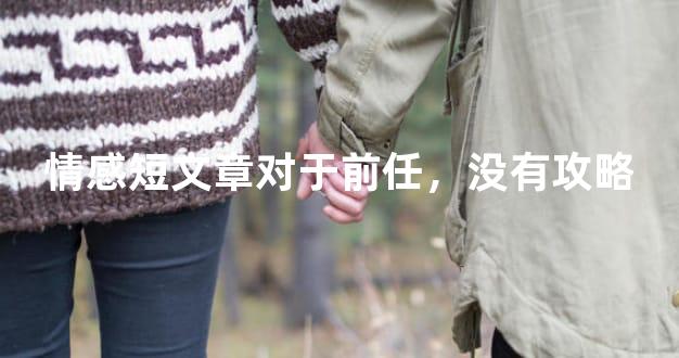 情感短文章对于前任，没有攻略