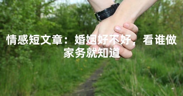 情感短文章：婚姻好不好，看谁做家务就知道