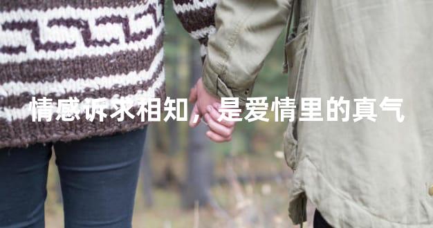 情感诉求相知，是爱情里的真气