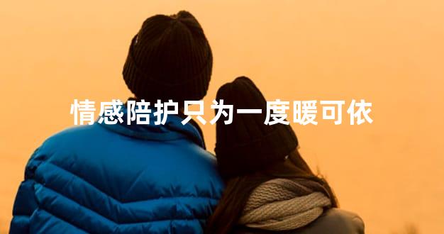 情感陪护只为一度暖可依