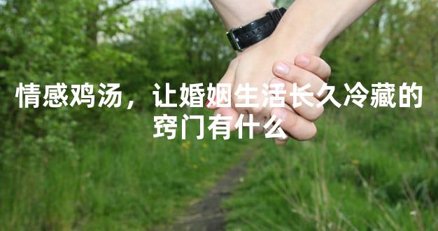 情感鸡汤，让婚姻生活长久冷藏的窍门有什么