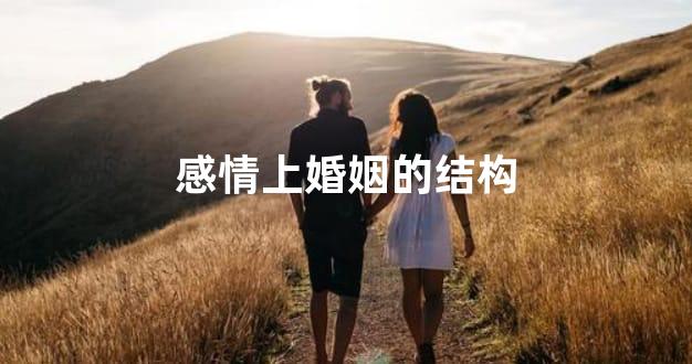 感情上婚姻的结构