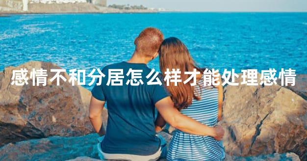 感情不和分居怎么样才能处理感情