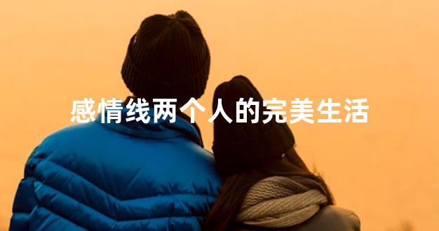 感情线两个人的完美生活