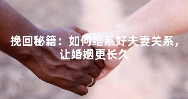 挽回秘籍：如何维系好夫妻关系，让婚姻更长久