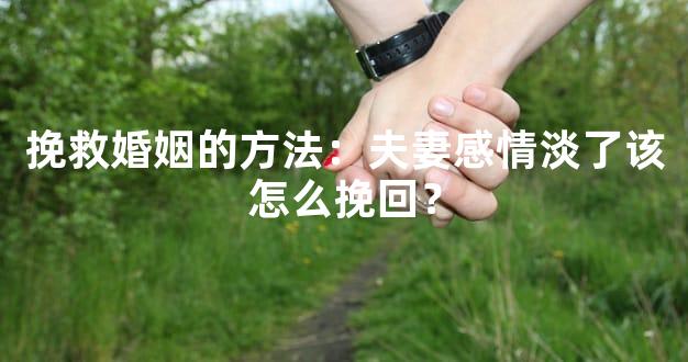 挽救婚姻的方法：夫妻感情淡了该怎么挽回？
