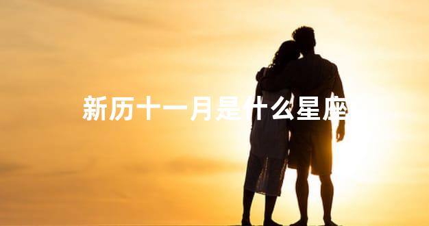 新历十一月是什么星座