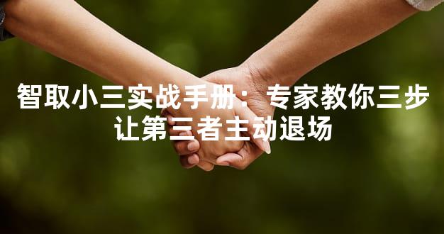 智取小三实战手册：专家教你三步让第三者主动退场