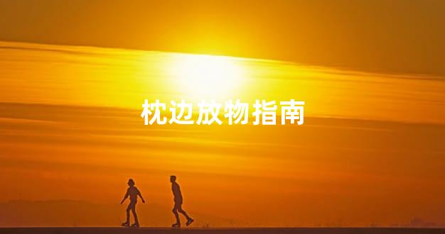 枕边放物指南